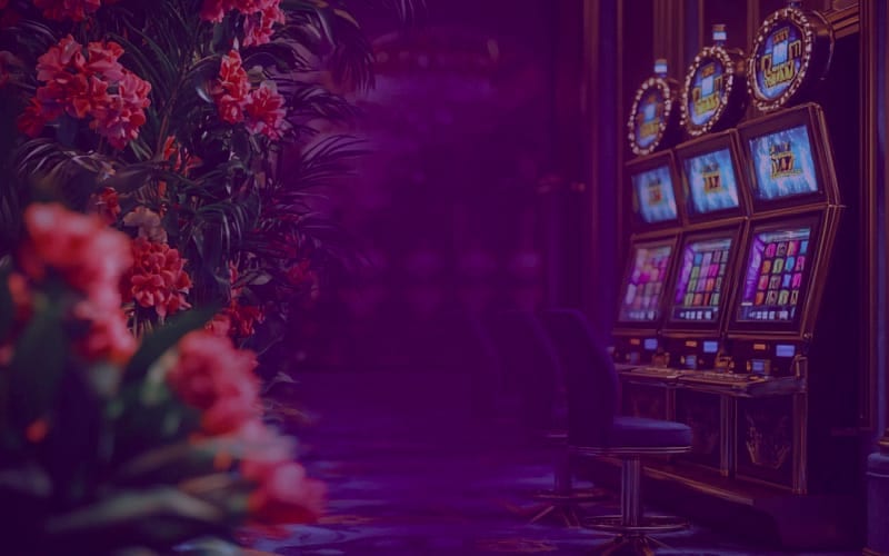 Wiederkehrende Promotions - was SpinGranny Stammkunden bietet